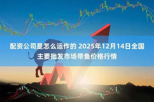 配资公司是怎么运作的 2025年12月14日全国主要批发市场带鱼价格行情