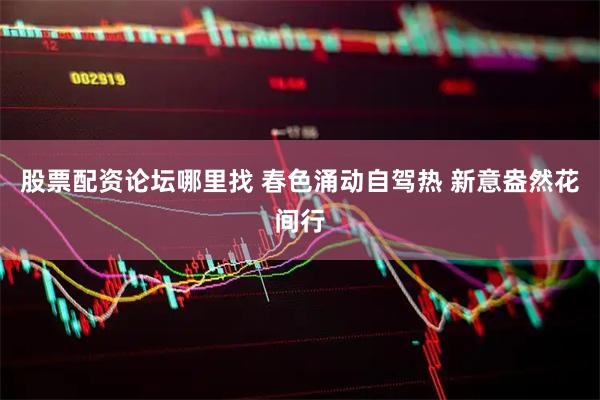 股票配资论坛哪里找 春色涌动自驾热 新意盎然花间行